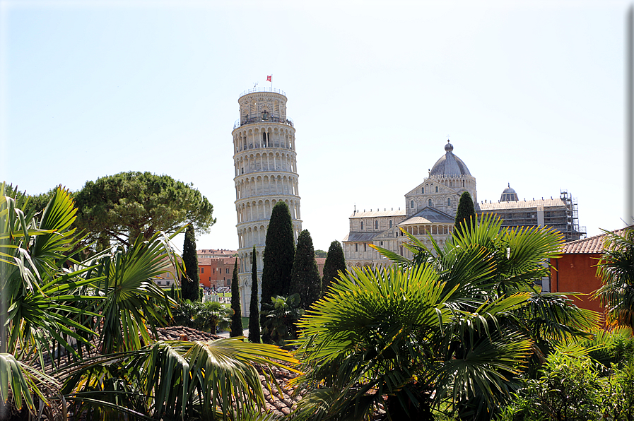 foto Piazza dei Miracoli
